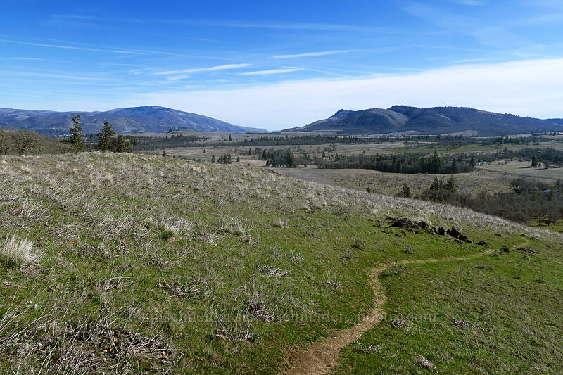 view to the east [Memaloose Hills, Wasco County, Oregon]