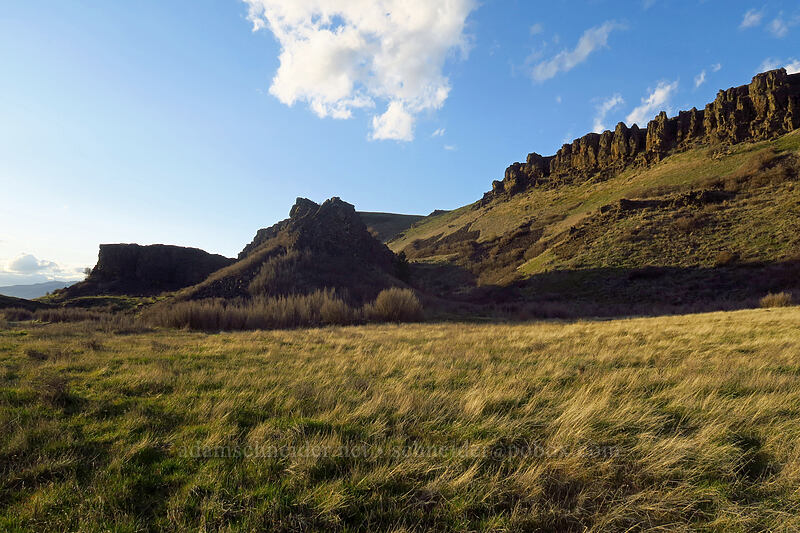 cliffs east of Lyle [east of Lyle, Klickitat County, Washington]