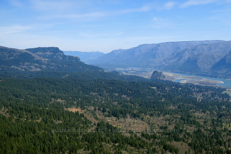 Hamilton Mountain & Beacon Rock [Archer Mountain, Gifford Pinchot National Forest, Skamania County, Washington]