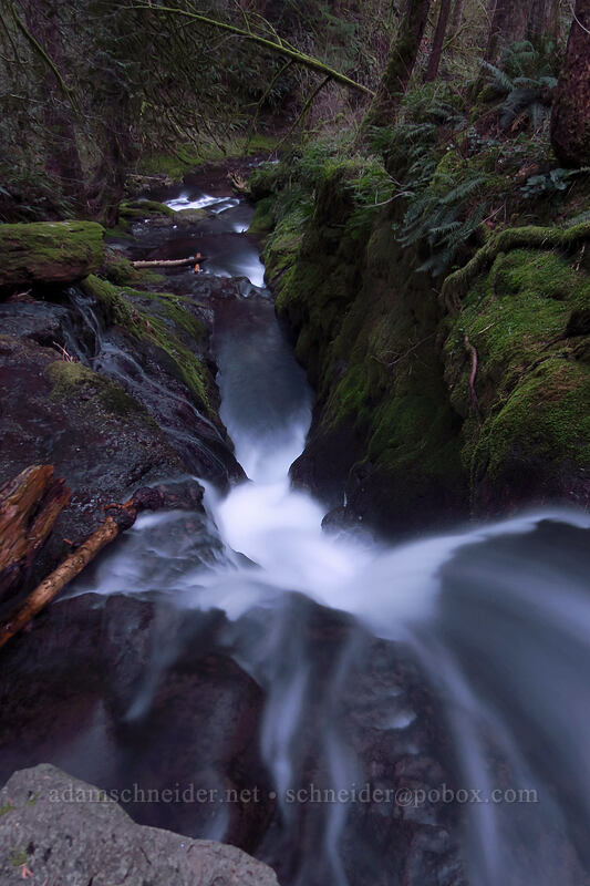 Duncan Creek Falls [Nellie Corser Wildlife Area, Skamania County, Washington]