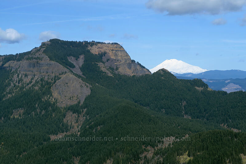 Table Mountain & Mt. Adams [Hamilton Mountain Trail, Beacon Rock State Park, Skamania County, Washington]