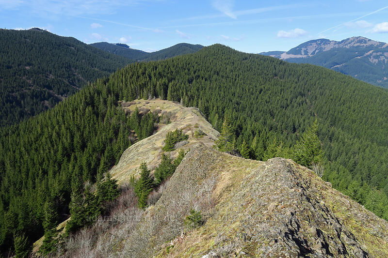 ridge north of Hamilton Mountain [Hamilton Mountain, Beacon Rock State Park, Skamania County, Washington]