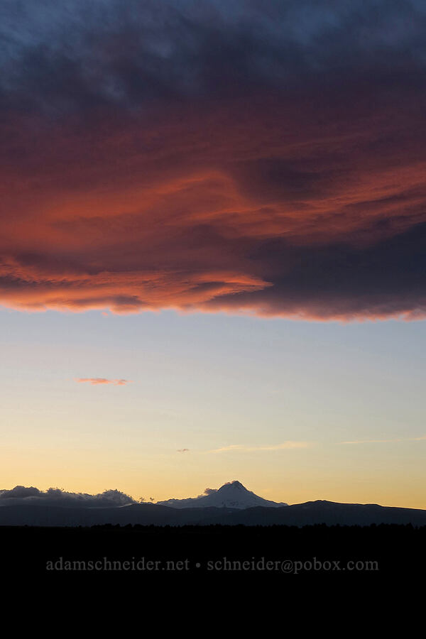 lenticular clouds & Mt. Hood [U.S. Highway 197, Wasco County, Oregon]