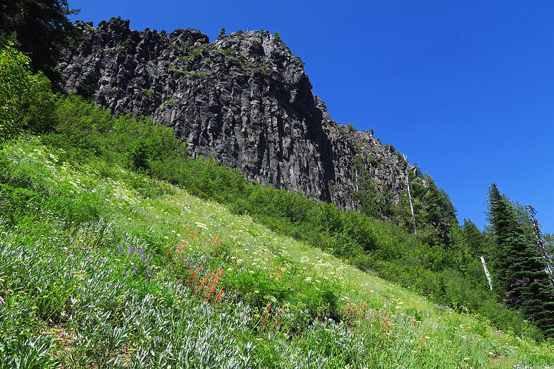 wildflowers & cliffs [Heart Lake Trail, Willamette National Forest, Linn County, Oregon]