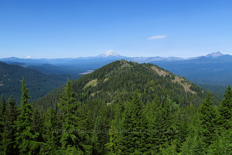 Mt. Jefferson, Mt. Hood, Three-Fingered Jack, & Browder Ridge [Browder Ridge, Willamette National Forest, Linn County, Oregon]