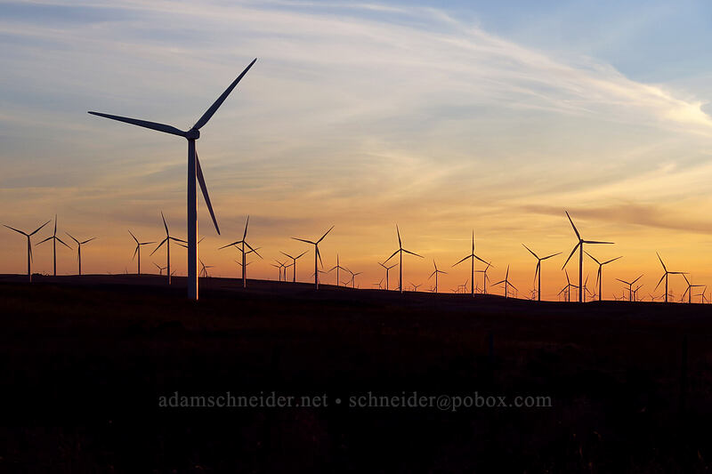 wind turbines [Fourmile Road, Gilliam County, Oregon]