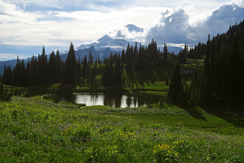 Mount Rainier & clouds [Naches Peak Loop Trail, Mount Rainier National Park, Pierce County, Washington]