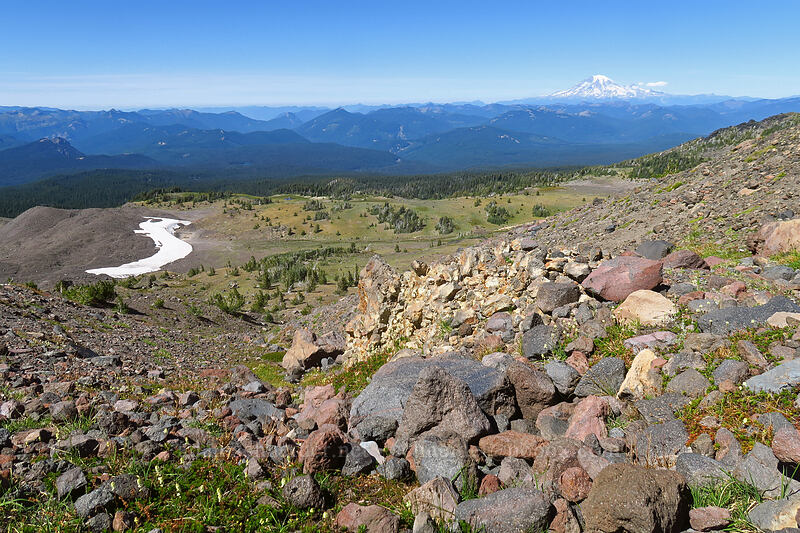 Mount Rainier & alpine meadows [Adams Glacier Meadows, Mt. Adams Wilderness, Skamania County, Washington]