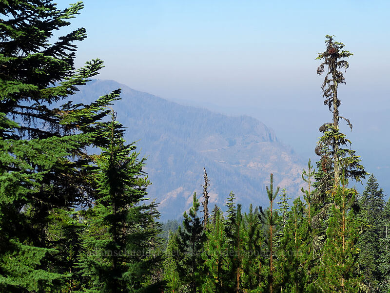 smoky scenery [Rockpile Trail, Diamond Peak Wilderness, Lane County, Oregon]
