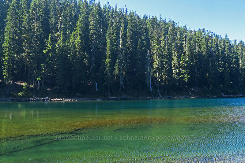 Marie Lake [Marie Lake Trail, Diamond Peak Wilderness, Lane County, Oregon]