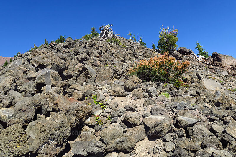 volcanic rubble [Diamond Peak's southwest ridge, Diamond Peak Wilderness, Lane County, Oregon]