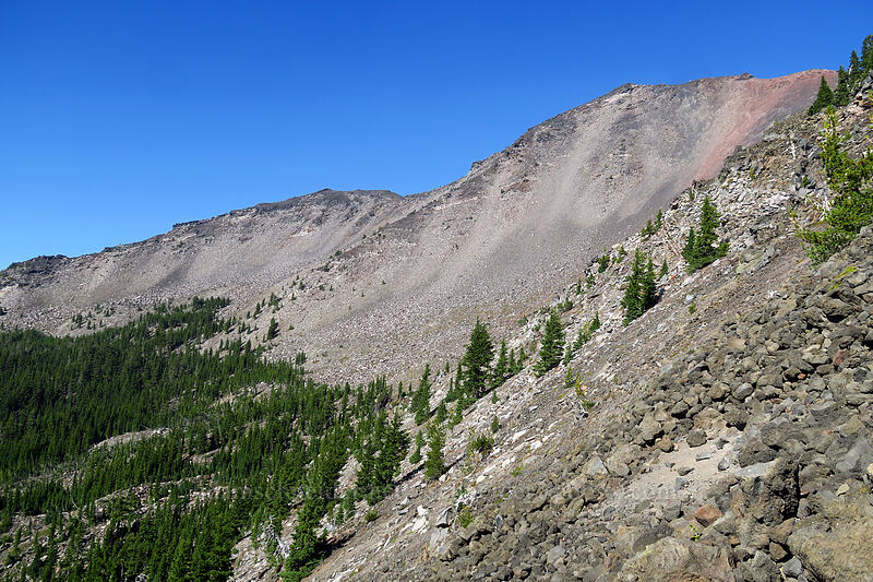 west side of Diamond Peak [Diamond Peak's southwest ridge, Diamond Peak Wilderness, Lane County, Oregon]