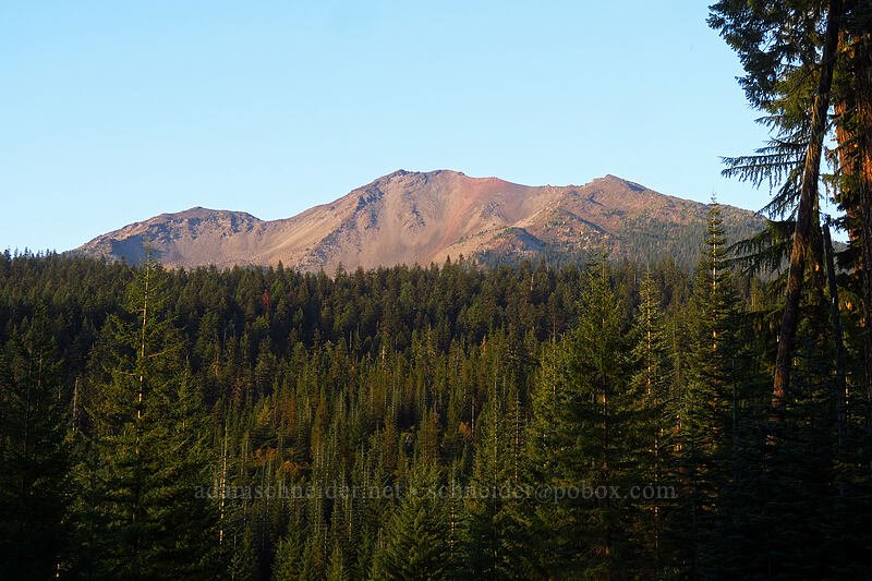 Diamond Peak [Forest Road 2160, Willamette National Forest, Lane County, Oregon]