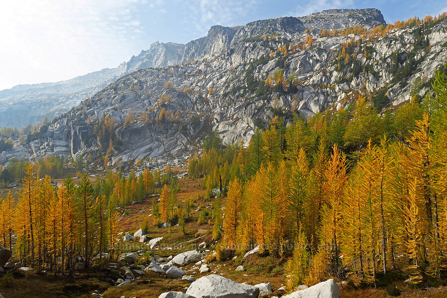 Enchantment Peak & larches (Larix lyallii) [Enchantment Basin, Alpine Lakes Wilderness, Chelan County, Washington]