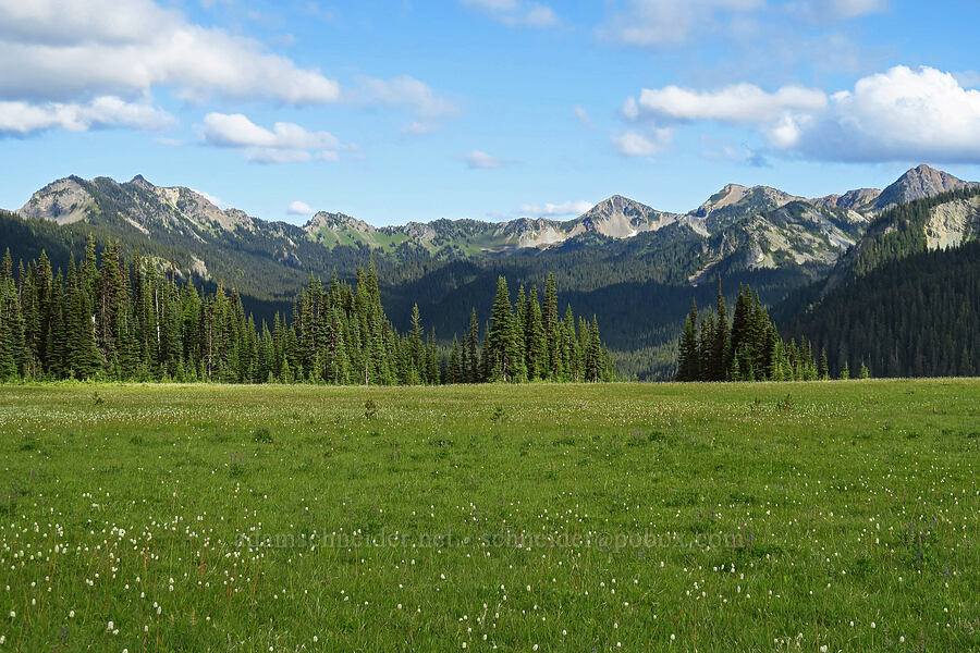 Sourdough Mountains & Grand Park [Grand Park, Mt. Rainier National Park, Pierce County, Washington]