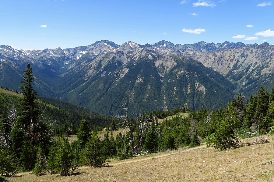 Olympic Mountains [Buckhorn Mountain Trail, Buckhorn Wilderness, Jefferson County, Washington]