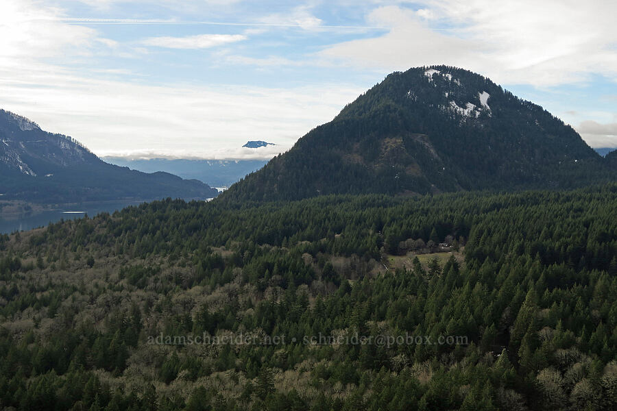 Wind Mountain [Augspurger Trail, Gifford Pinchot National Forest, Skamania County, Washington]