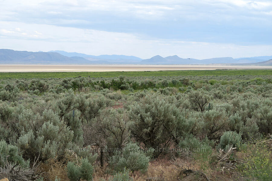 sagebrush, Alvord Desert, & Pueblo Mountains [Fields-Folly Farm Road, Harney County, Oregon]