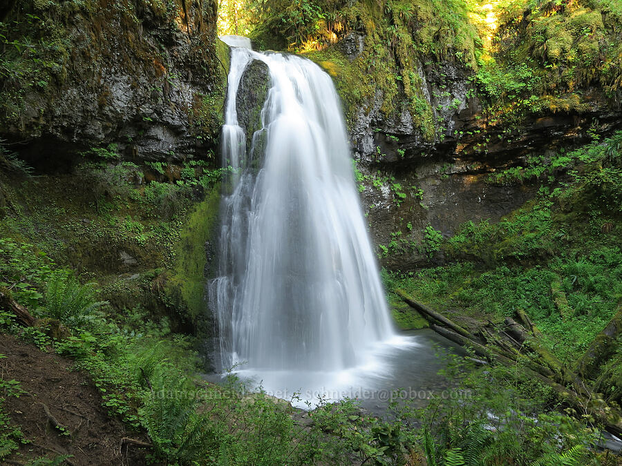 Spirit Falls [Spirit Falls Trail, Umpqua National Forest, Lane County, Oregon]