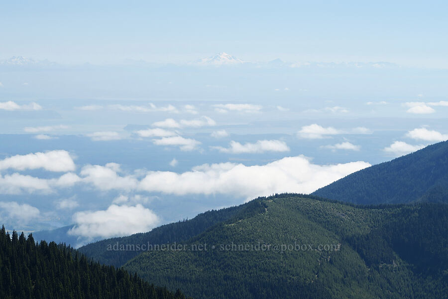 view toward Glacier Peak [Mount Townsend Trail, Buckhorn Wilderness, Jefferson County, Washington]