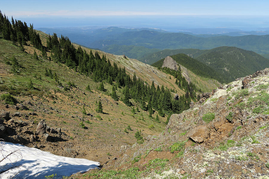 view to the northeast [Mount Townsend, Buckhorn Wilderness, Clallam County, Washington]
