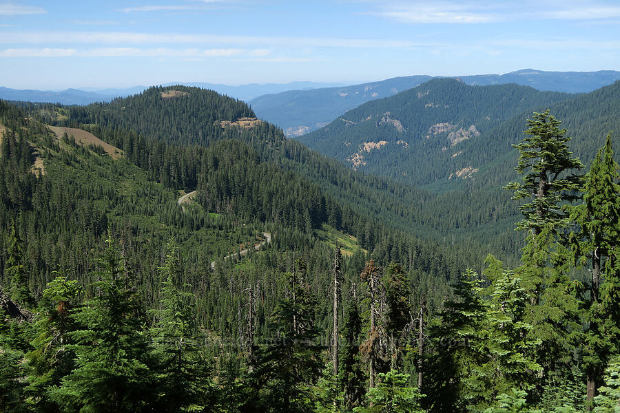Coal Creek Valley [Balm Mountain, Umpqua National Forest, Douglas County, Oregon]