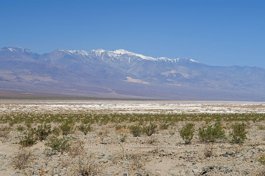 Panamint Range & Death Valley [Badwater Road, Death Valley National Park, Inyo County, California]