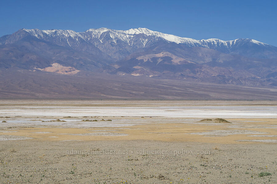 Panamint Range & Death Valley [Mormon Point, Death Valley National Park, Inyo County, California]