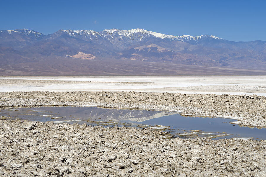Panamint Range & bad water [Mormon Point, Death Valley National Park, Inyo County, California]