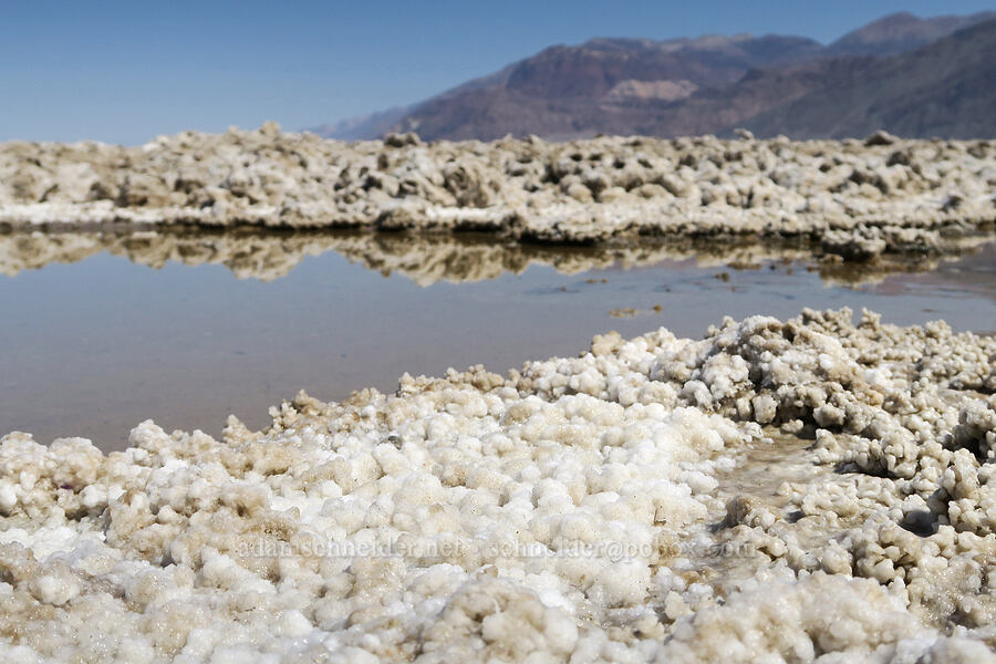 salt [Mormon Point, Death Valley National Park, Inyo County, California]