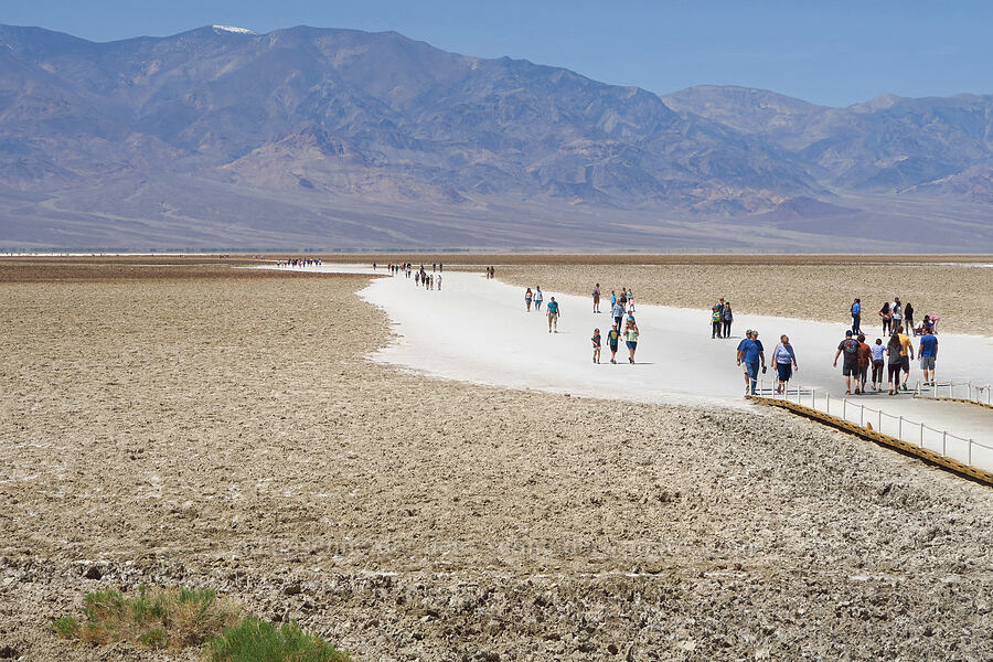 tourists [Badwater Basin, Death Valley National Park, Inyo County, California]
