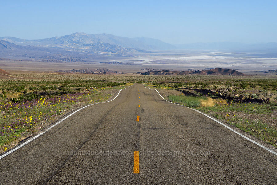 road into Death Valley [Beatty Cutoff Road, Death Valley National Park, Inyo County, California]