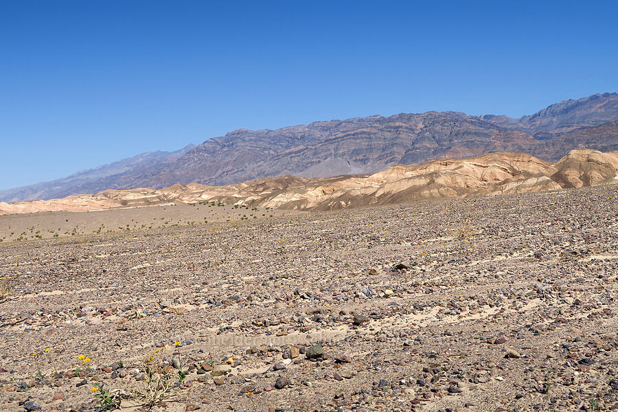 Grapevine Mountains & alluvial fans [North Highway, Death Valley National Park, Inyo County, California]