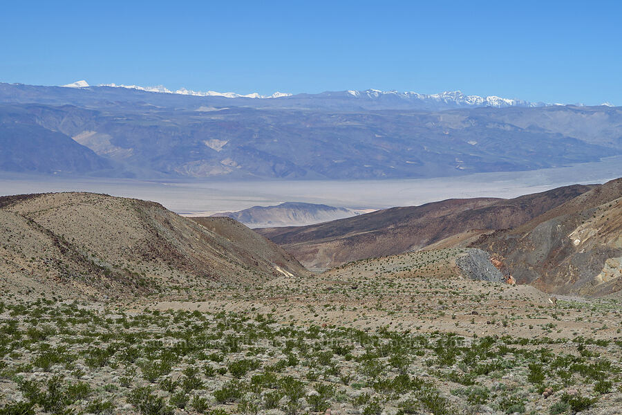 view to the west-northwest [Highway 190, Death Valley National Park, Inyo County, California]