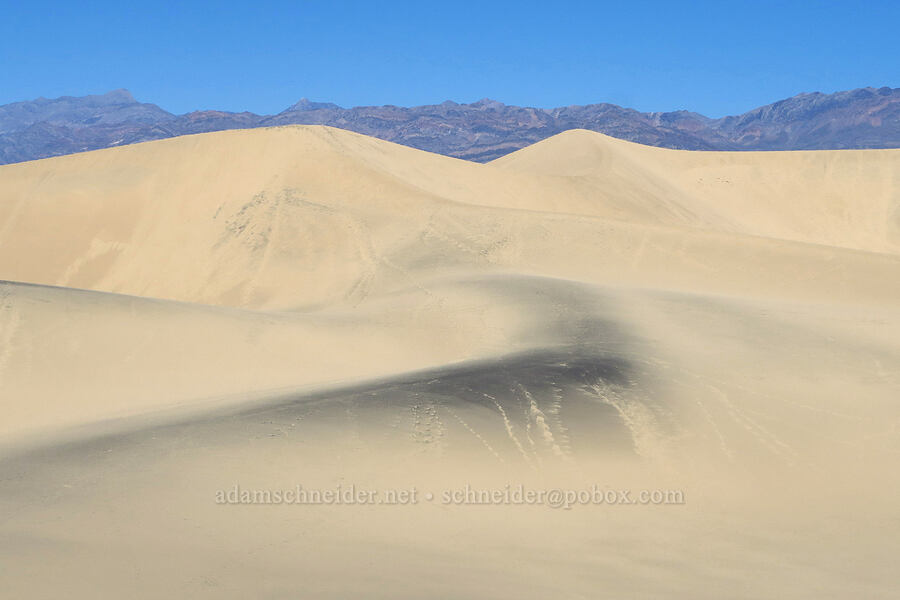 sand dunes & Grapevine Mountains [Mesquite Dunes, Death Valley National Park, Inyo County, California]