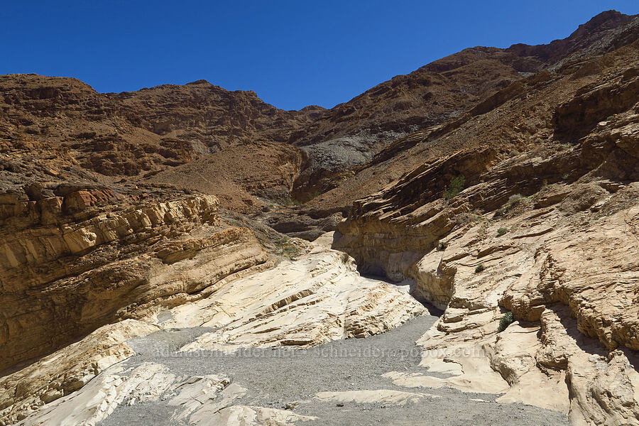 Mosaic Canyon [Mosaic Canyon, Death Valley National Park, Inyo County, California]