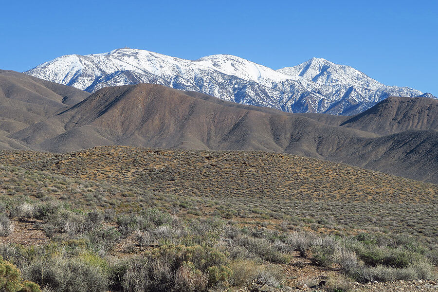 Rogers Peak, Bennett Peak, & Telescope Peak [Emigrant Canyon Road, Death Valley National Park, Inyo County, California]
