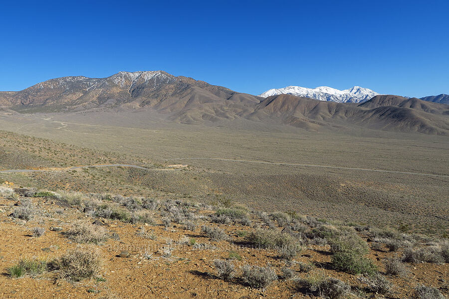 Nemo Canyon & the Panamint Range [Emigrant Canyon Road, Death Valley National Park, Inyo County, California]
