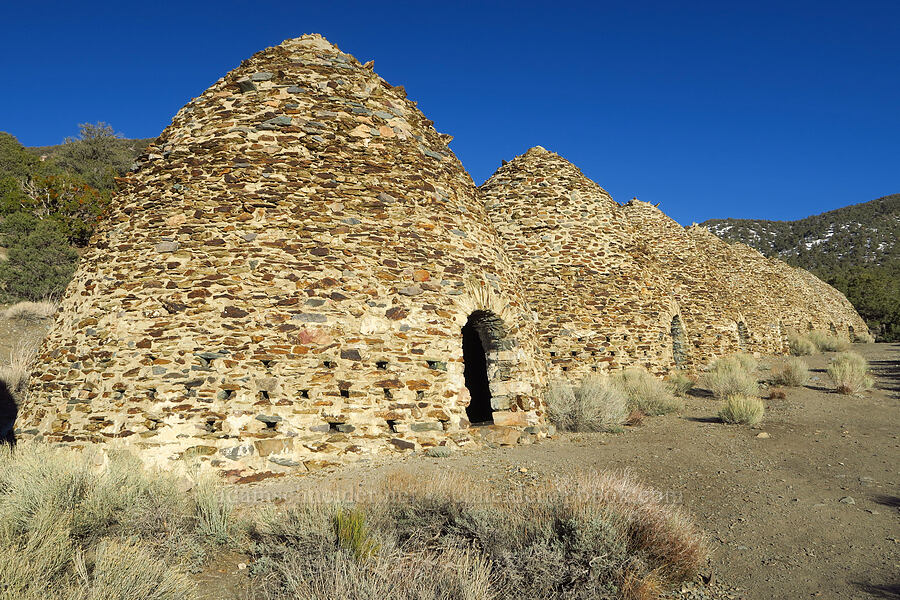 Charcoal Kilns [Wildrose Canyon, Death Valley National Park, Inyo County, California]