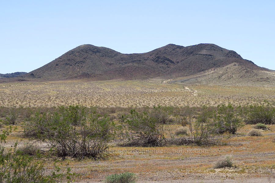 desert hills [Rasor Road, San Bernardino County, California]