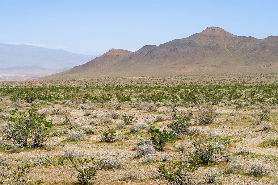 desert mountains [Highway 127, Inyo County, California]