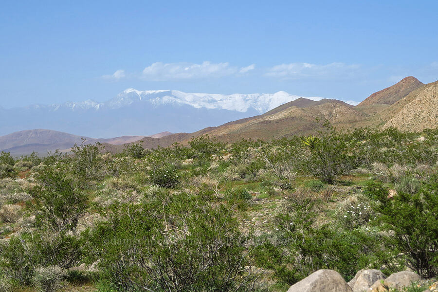 Spring Mountains & Mount Charleston [Excelsior Mine Road, Inyo County, California]