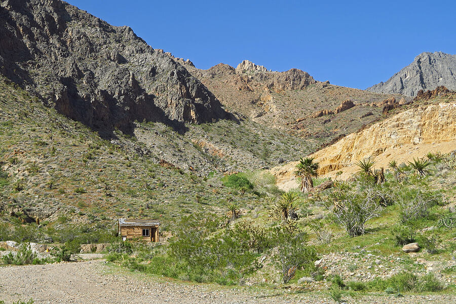 old miner's cabin [Excelsior Mine Road, San Bernardino County, California]