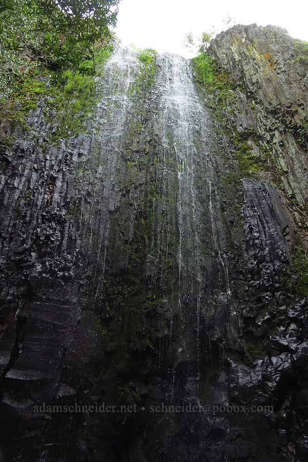 Ravine Falls [North Table Mountain Ecological Reserve, Butte County, California]