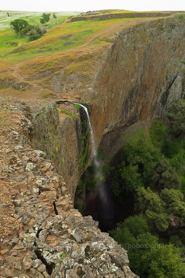 Phantom Falls [North Table Mountain Ecological Reserve, Butte County, California]