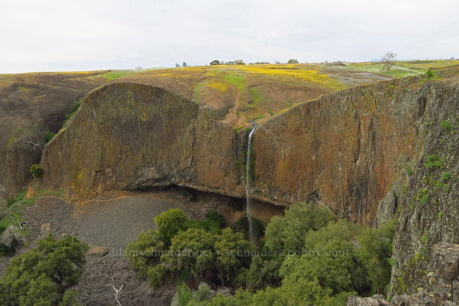 Phantom Falls [North Table Mountain Ecological Reserve, Butte County, California]