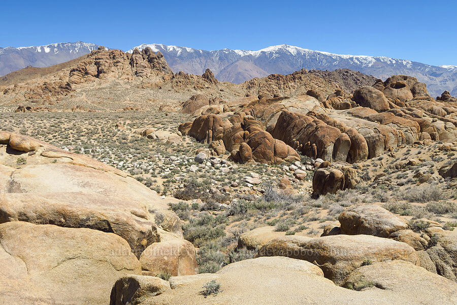 Alabama Hills & Inyo Mountains [Mobius Arch Trail, Inyo County, California]