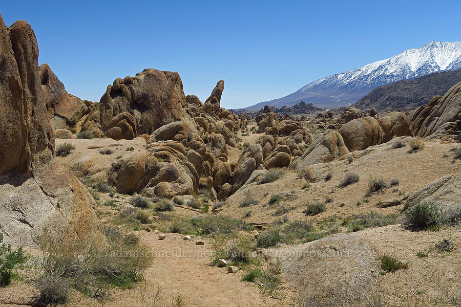 Alabama Hills [Mobius Arch Trail, Inyo County, California]
