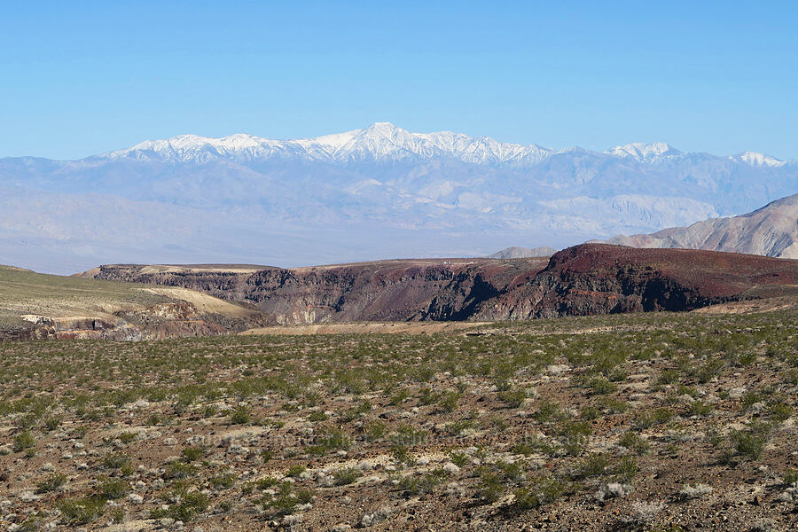 Panamint Range & Rainbow Canyon [Highway 190, Death Valley National Park, Inyo County, California]