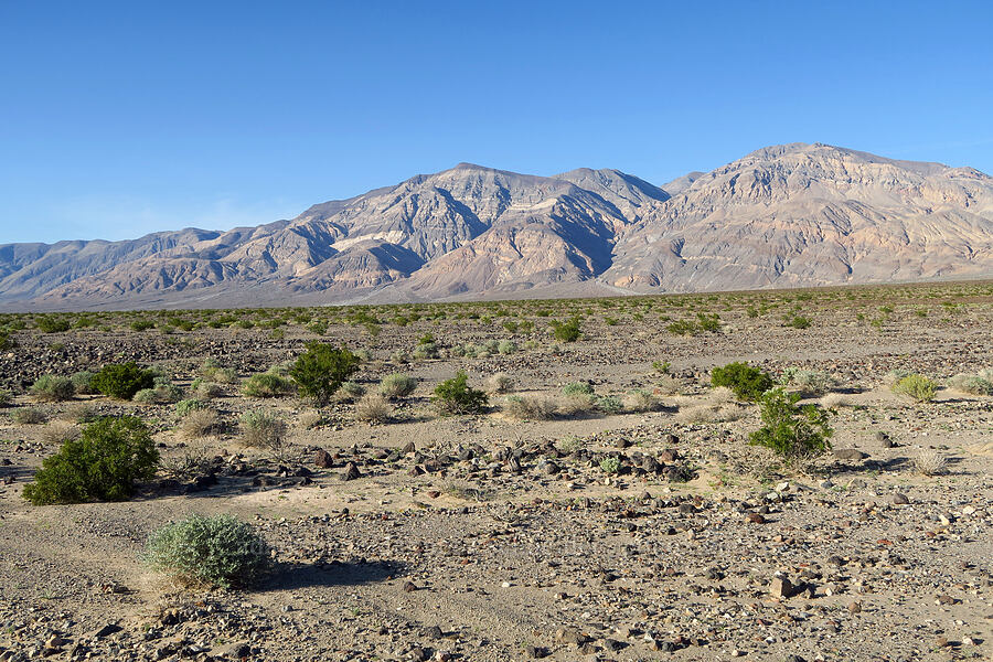 Panamint Butte [Lake Road, Death Valley National Park, Inyo County, California]